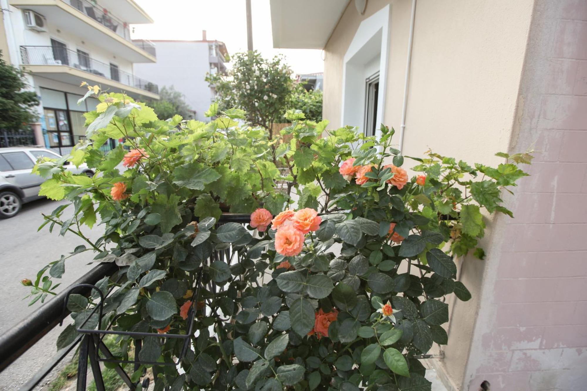 Meteora Family Dream Apartment Калампака Екстериор снимка